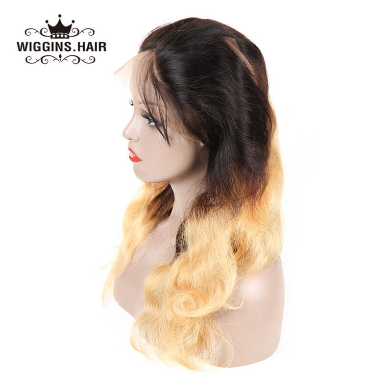 100% Human Virgin Hair