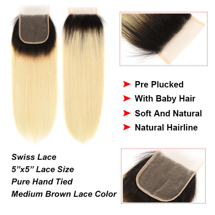 Ombre Hair Straight Bundles With Closure