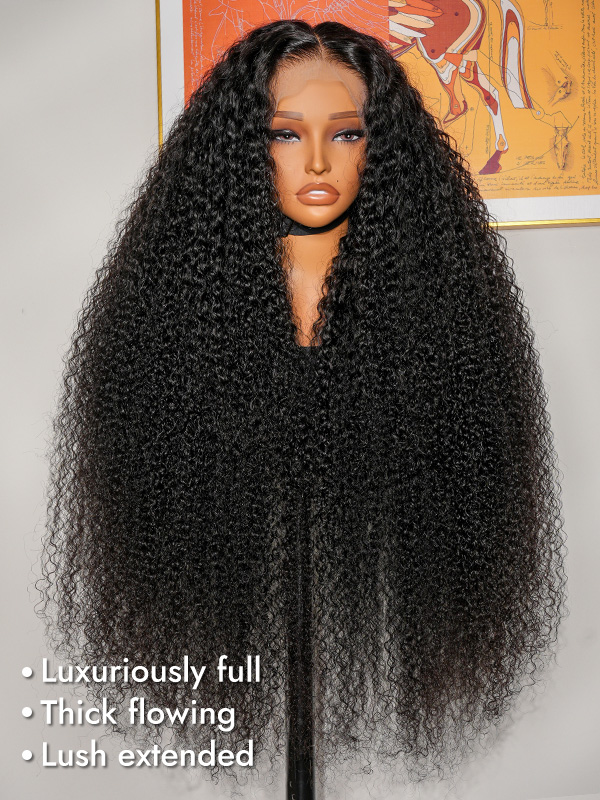 Luxury Thick Curly Wigs