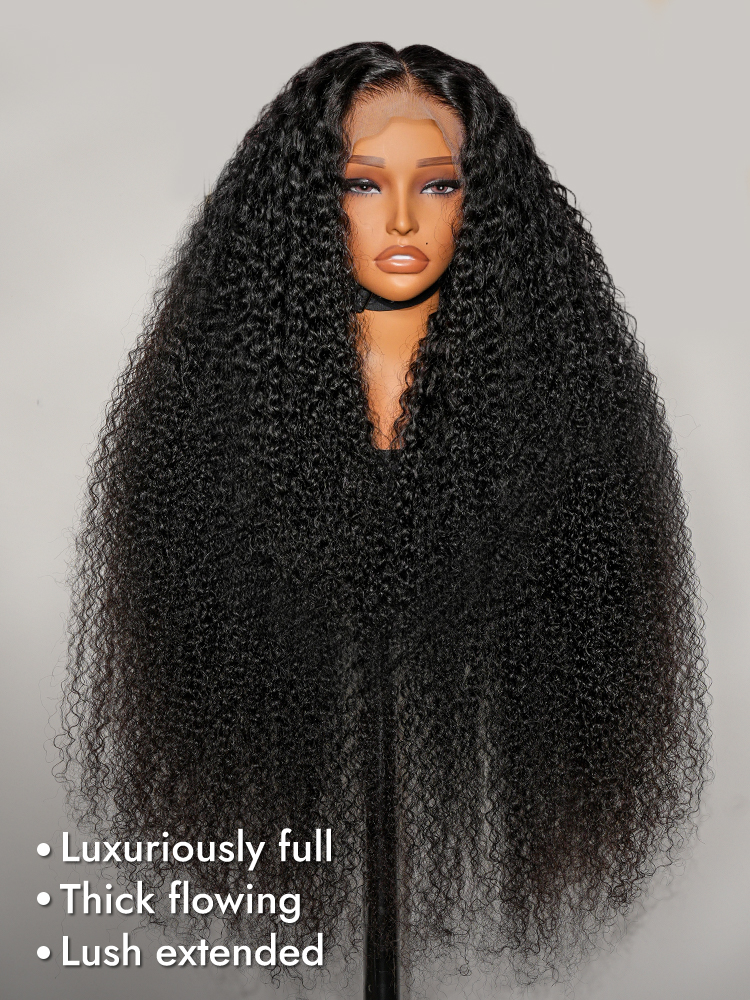 13x6 HD lace kinky curly wigs