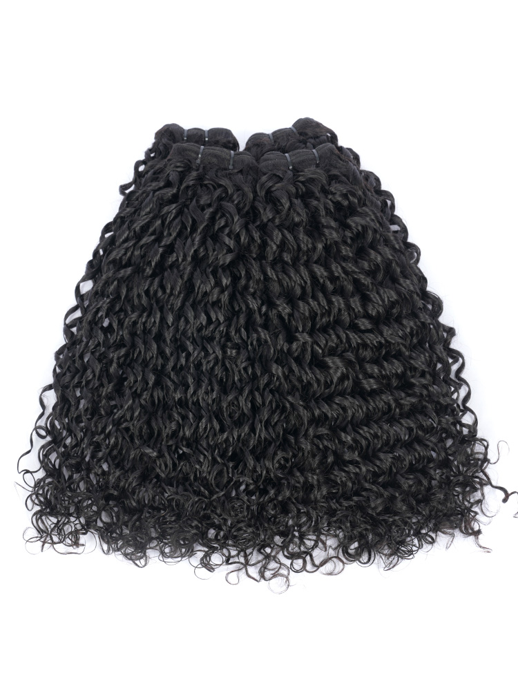 Defined Raw Indian Curly Hair Bundles