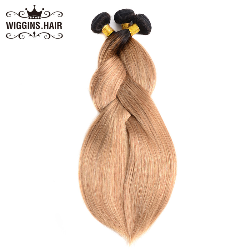 3 Bundles Human Hair Weft Top Selling Straight Hair Ombre 1B/27 Color
