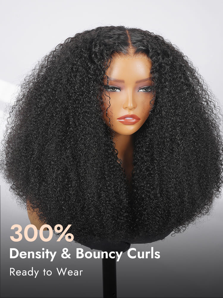 Afro Kinky Curly Wig