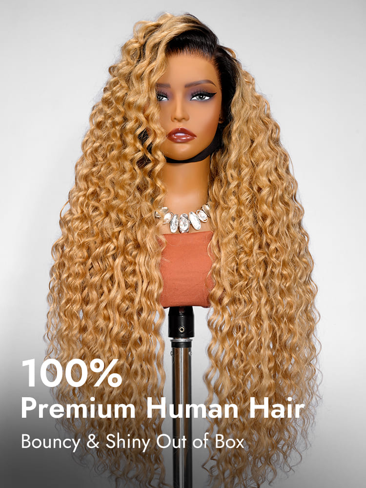 Premium Ombre Human Hair Wig