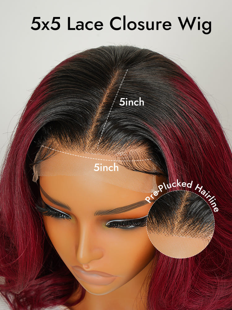 Ombre 5x5 Lace Closure Wig