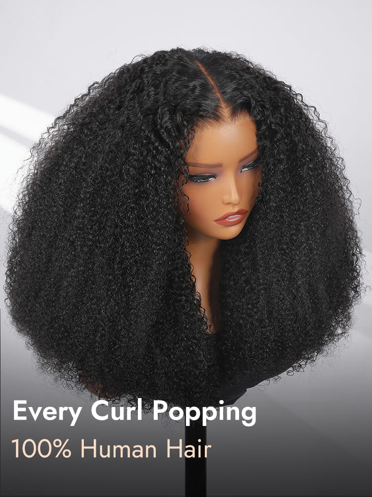 Afro Curly Human Hair Wig