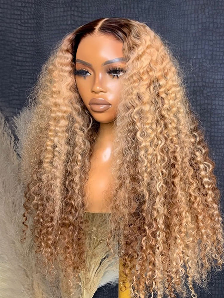 Ombre Hair Color Honey Blonde Highlight Wig