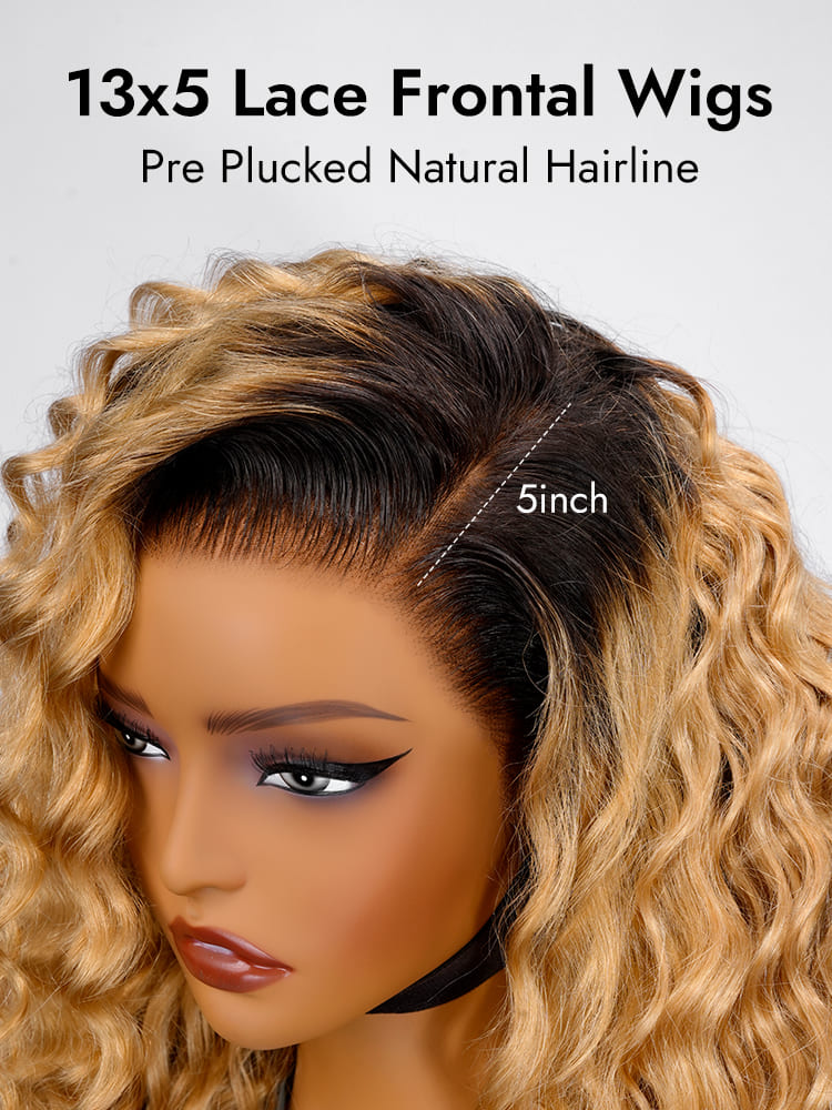 Ombre 13x5 Lace Frontal Wigs