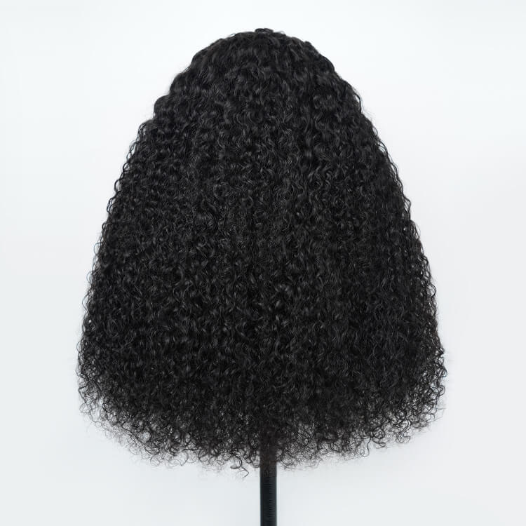 Braided Wigs Human Hair