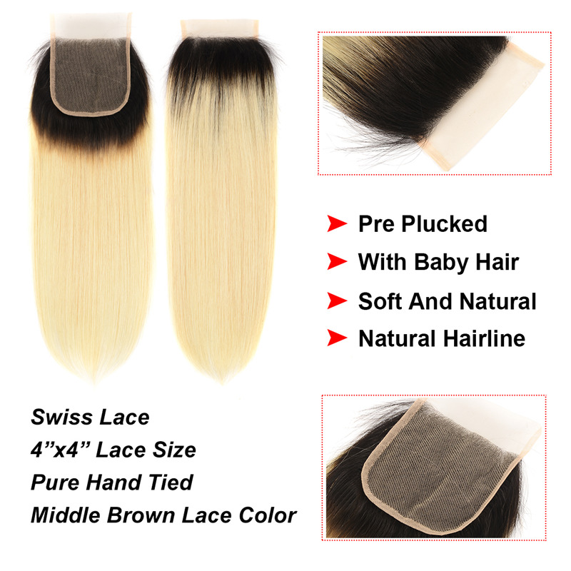 Ombre Hair Straight Bundles With Closure