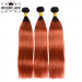 Ombre Hair Straight Bundles