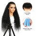 braided lace front wig