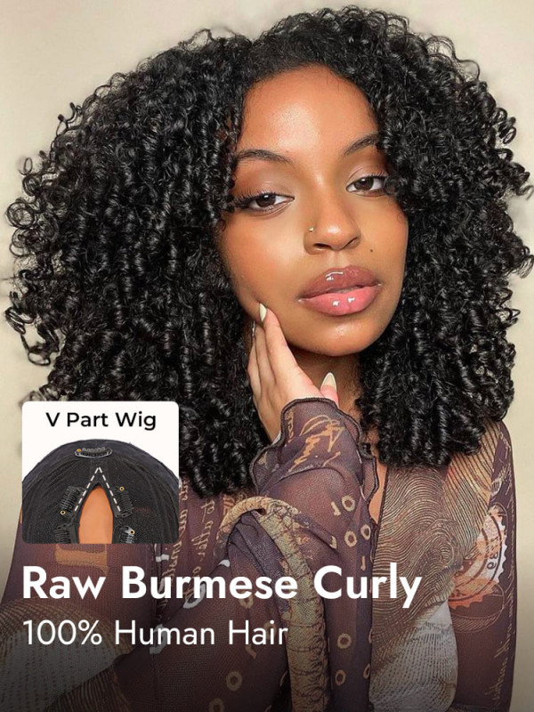 Burmese Curly Human Hair No Leave Out Glueless V Part Wig With Spiral Ends