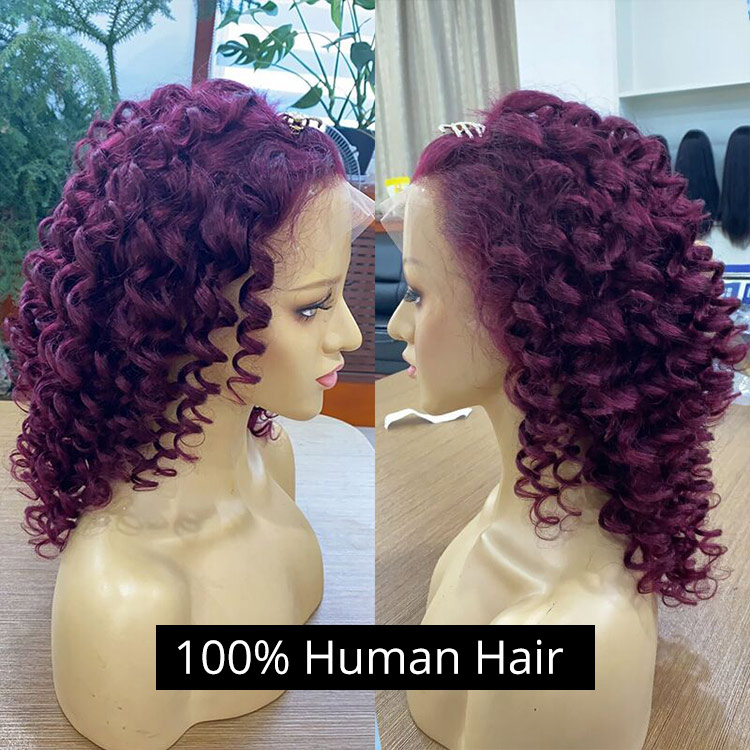 Human Hair Wigs