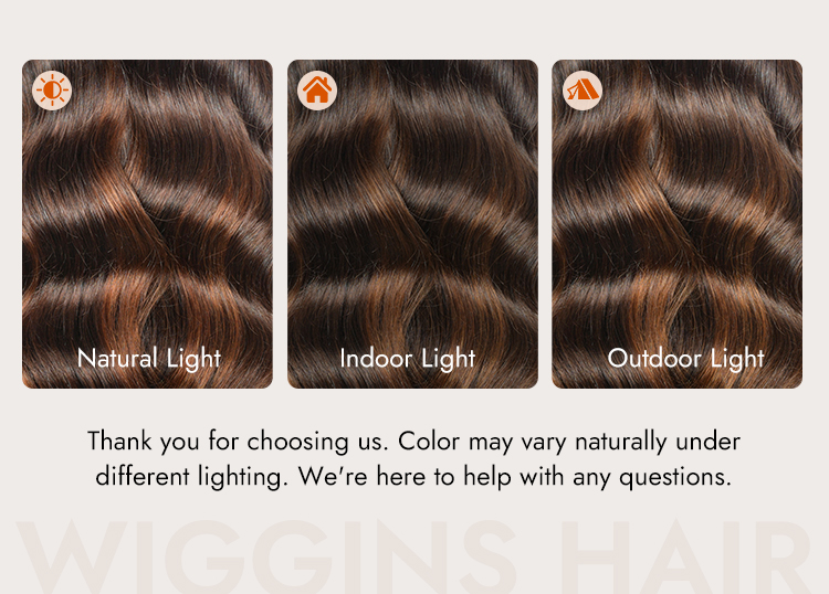 Balayage Highlight Human Hair Wigs