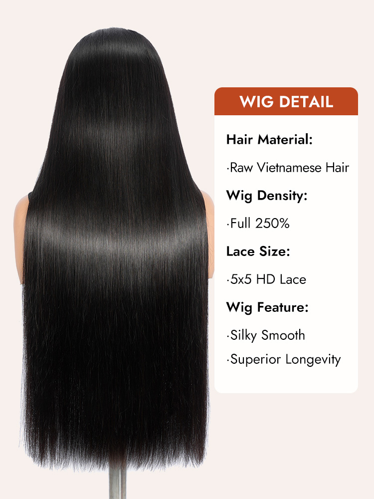 vietnamese hair wig 250% density human hair
