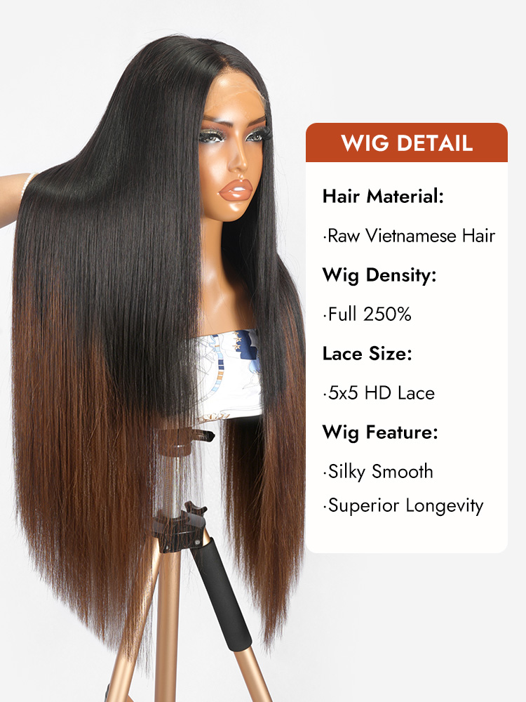 Double Drawn Ombre Brown Blunt Cut Straight