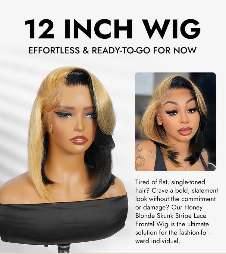  short human hair Skunk stripe straight lace frontal wigs 