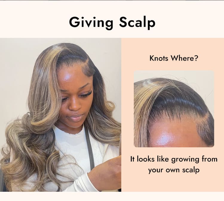 Balayage Highlight Human Hair Wigs